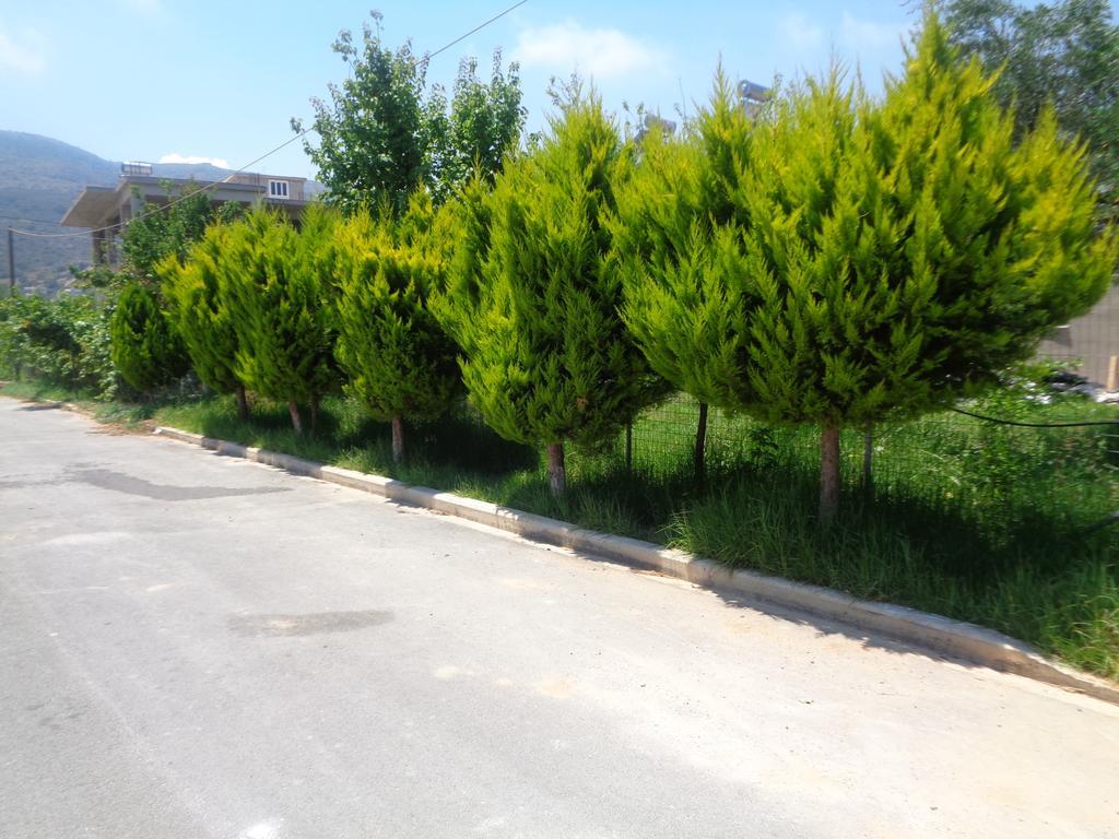 Creta Nostos Luxury Apartment Tsikalaria  ภายนอก รูปภาพ
